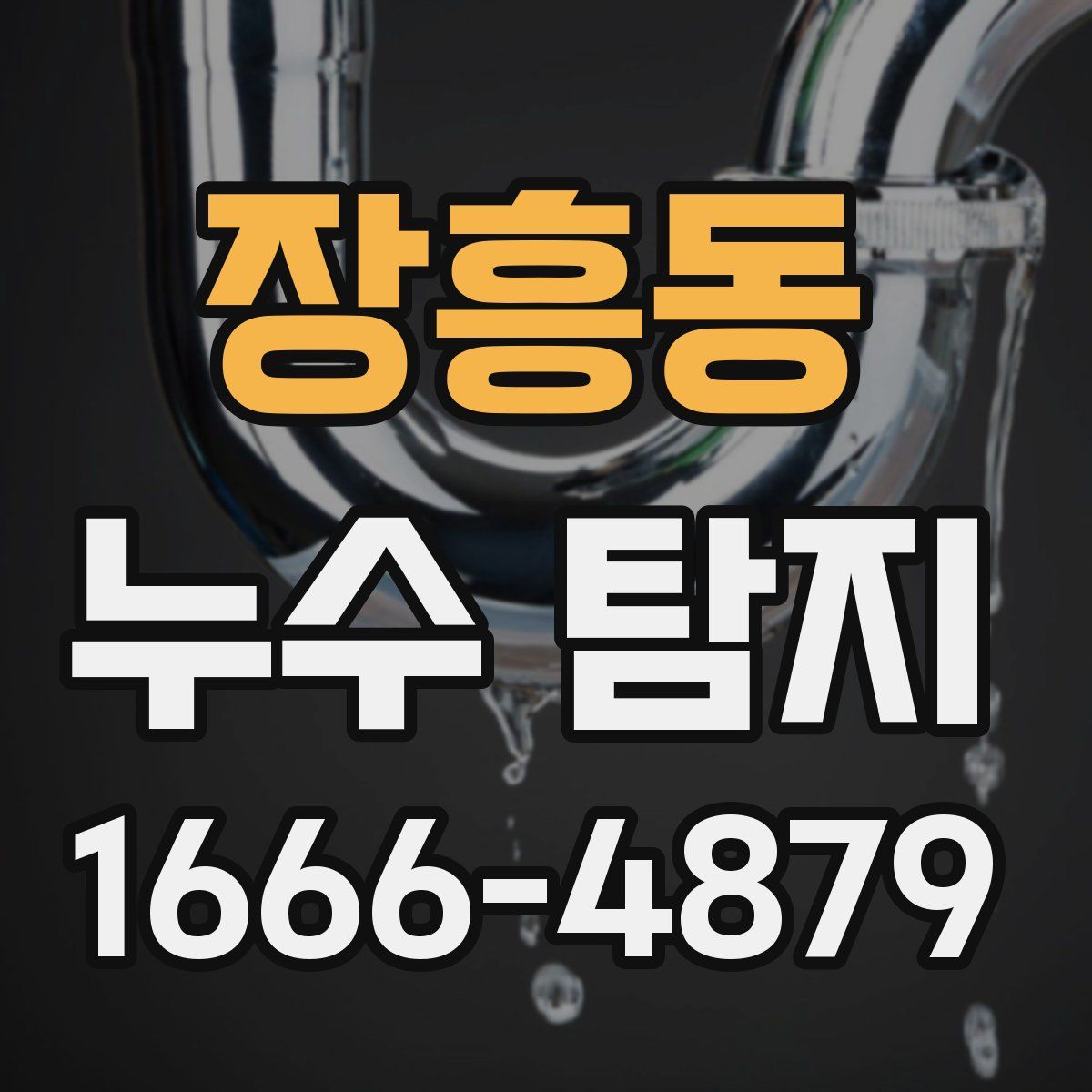 장흥동 누수 탐지