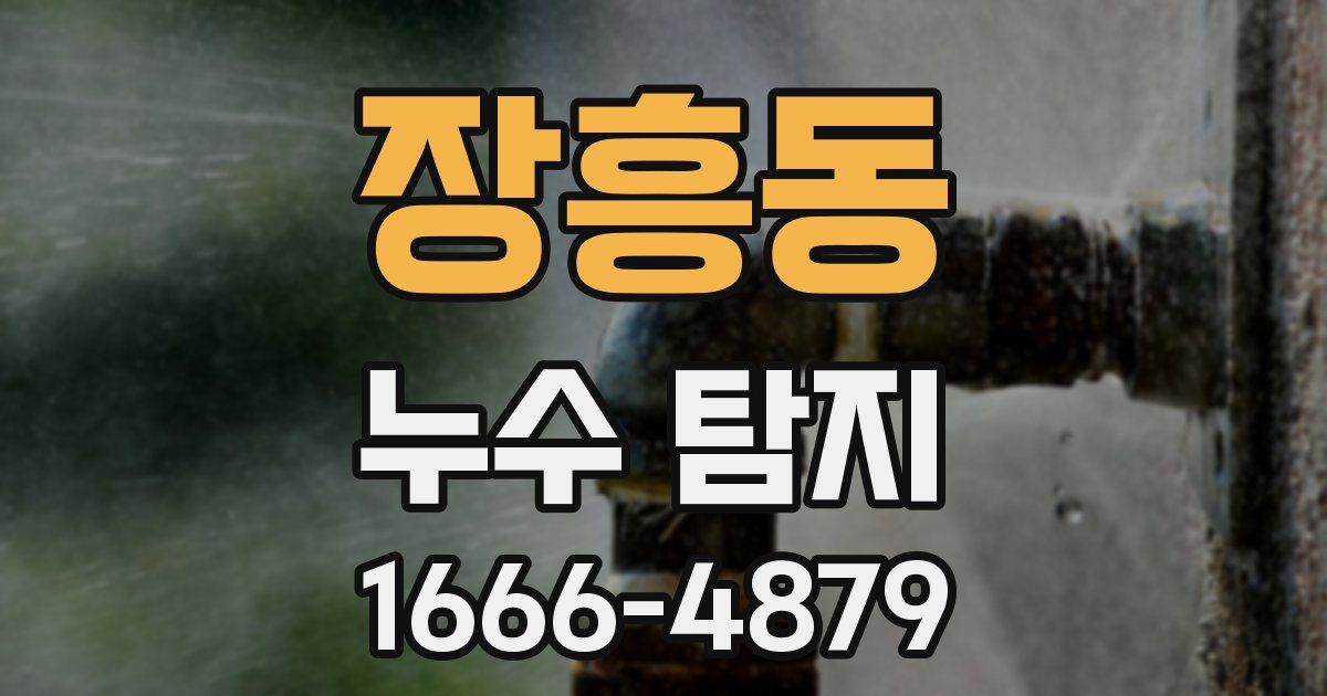 장흥동 누수 탐지