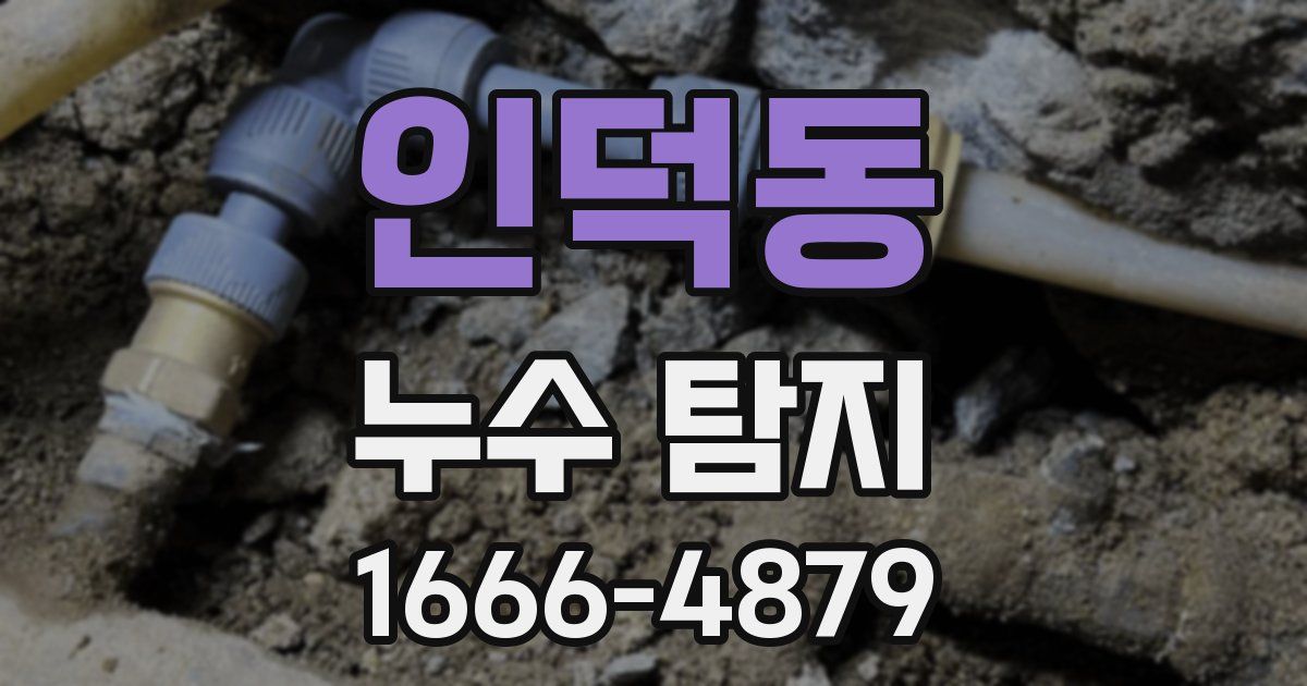 인덕동 누수 탐지