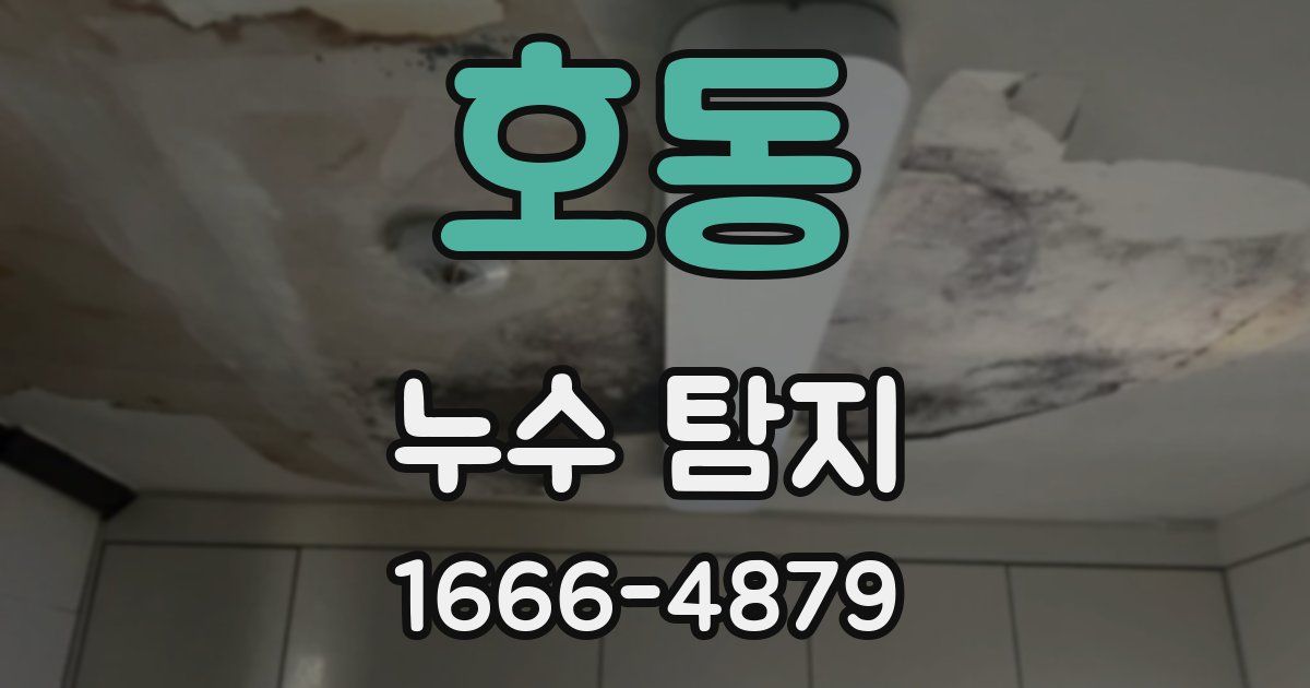 호동 누수 탐지