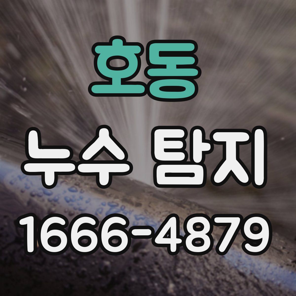 호동 누수 탐지