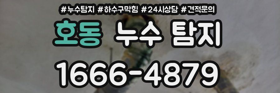 호동 누수 탐지