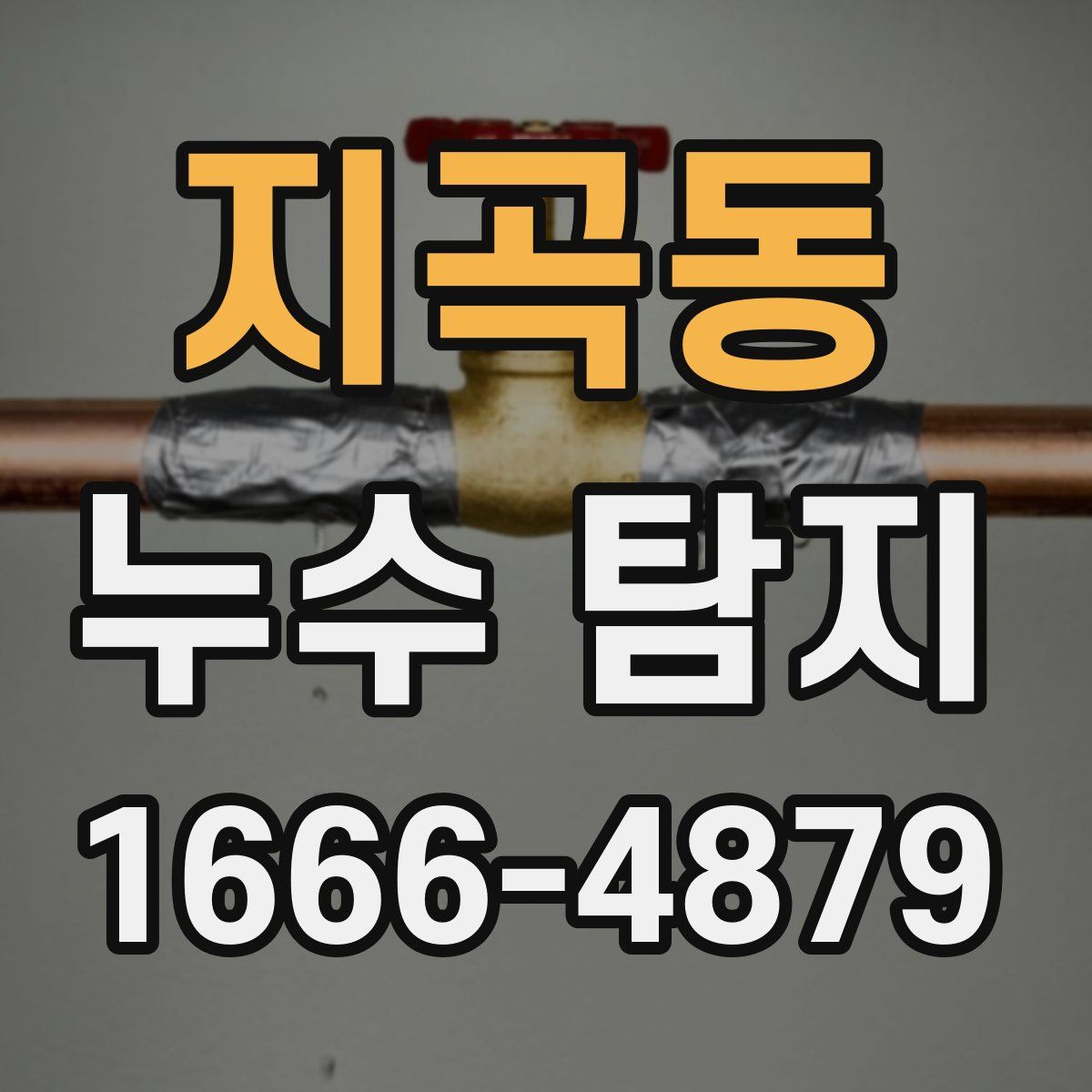지곡동 누수 탐지