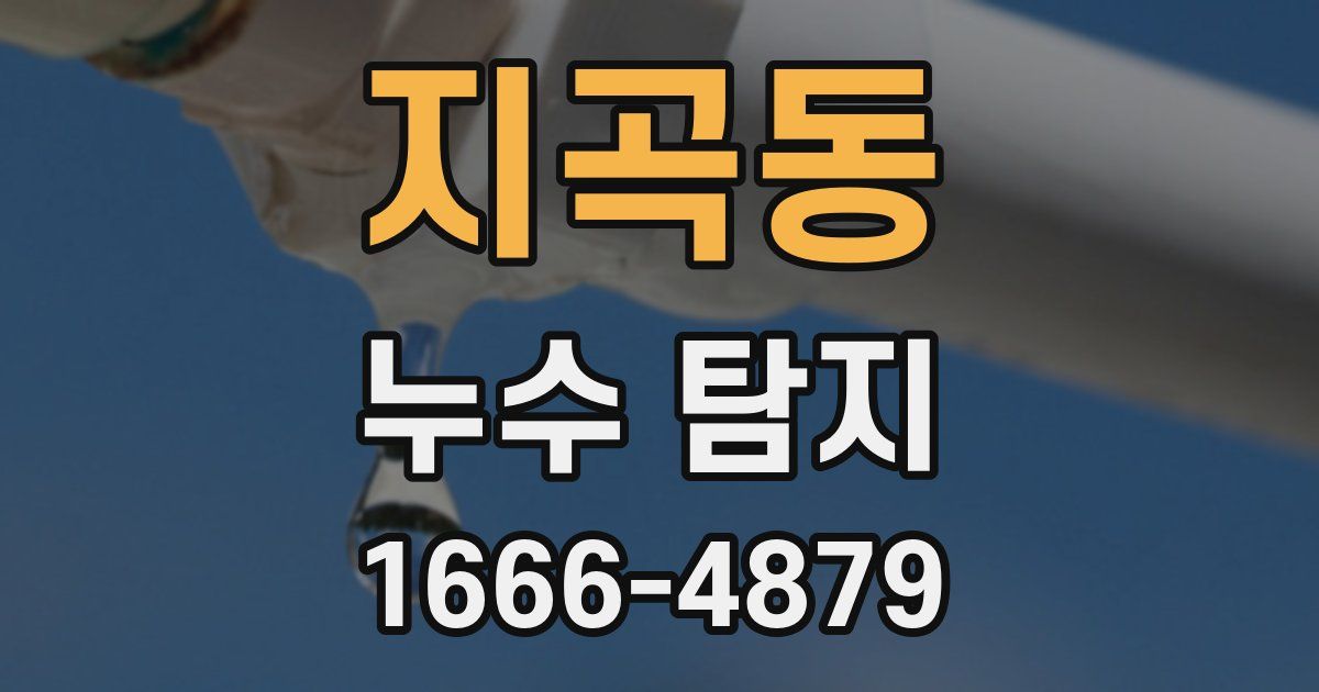 지곡동 누수 탐지