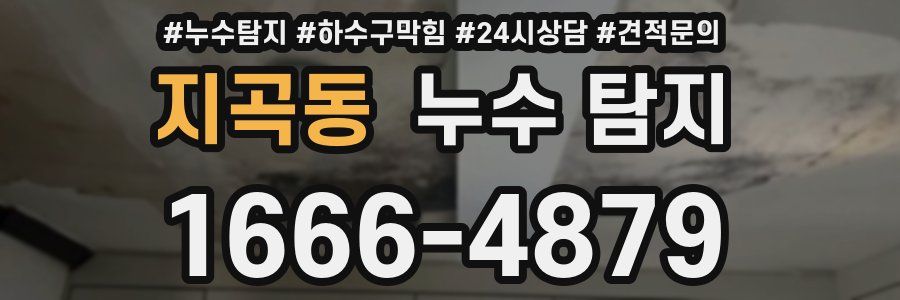 지곡동 누수 탐지