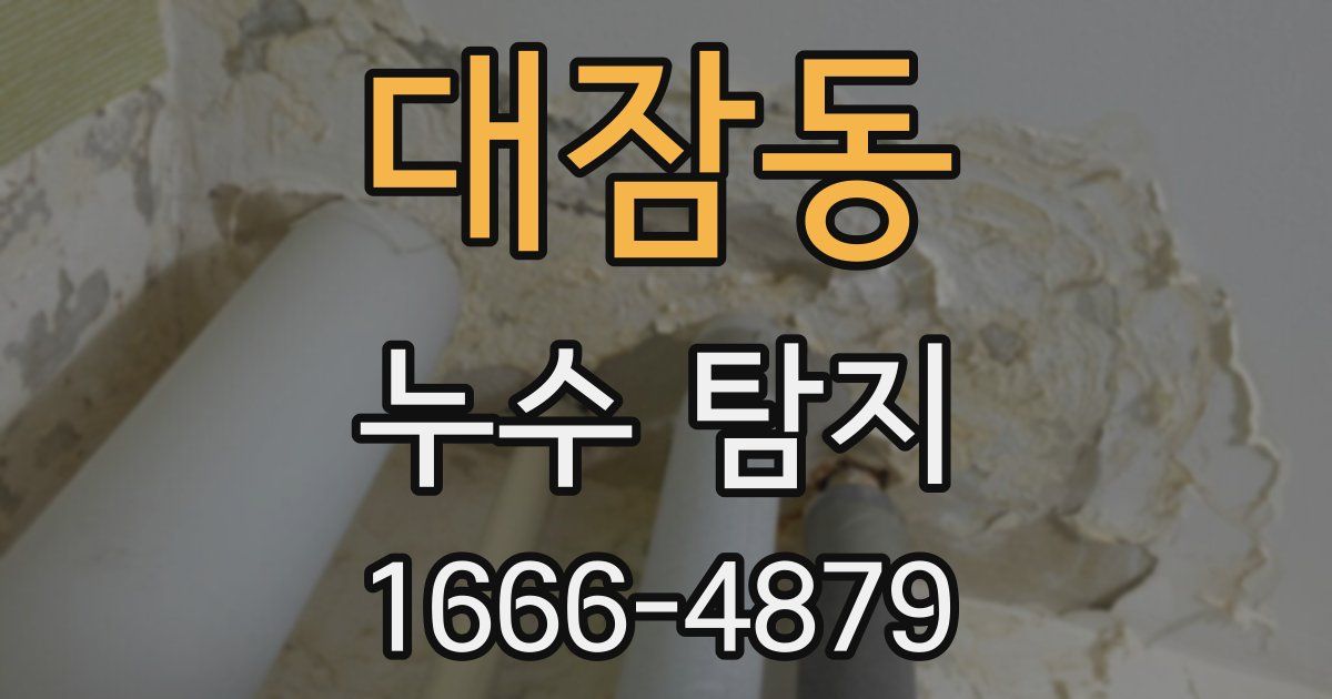 대잠동 누수 탐지