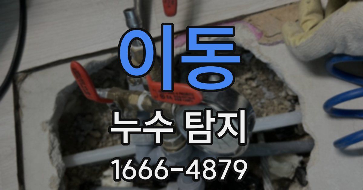 이동 누수 탐지