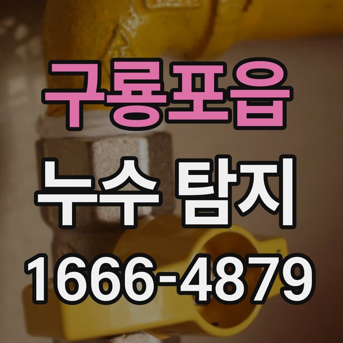 구룡포읍 누수 탐지 시 아파트와 주택의 차이
