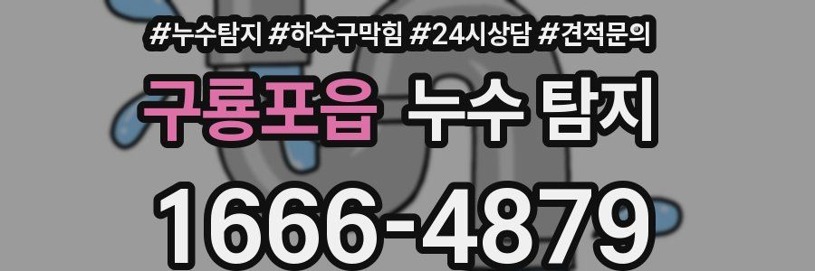 구룡포읍 누수 탐지