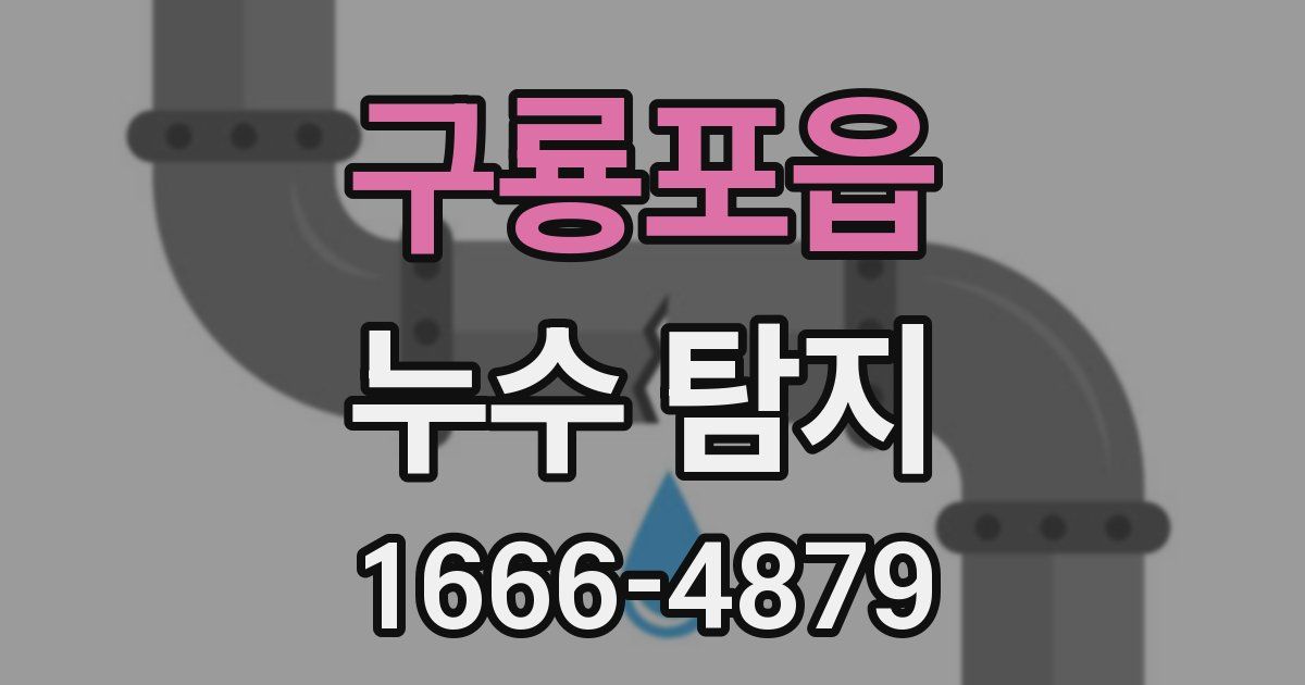 구룡포읍 누수 탐지