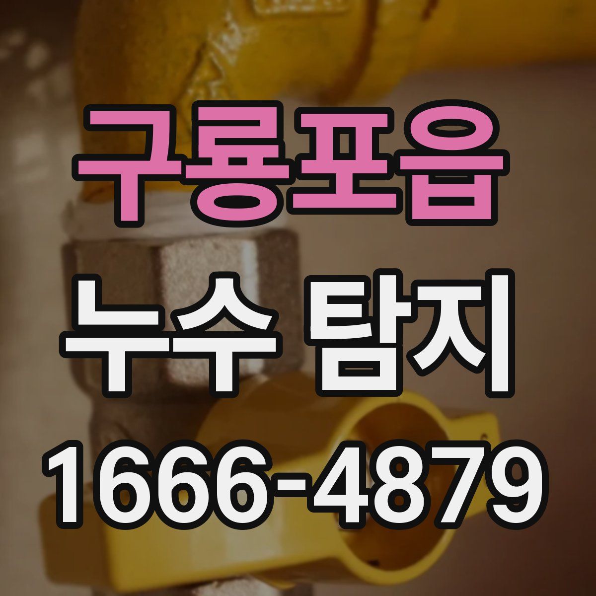 구룡포읍 누수 탐지