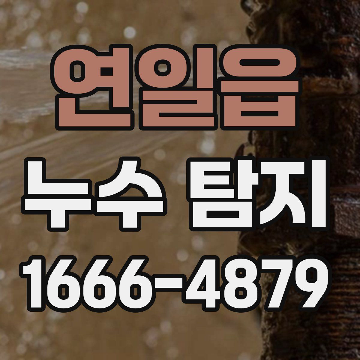 연일읍 누수 탐지