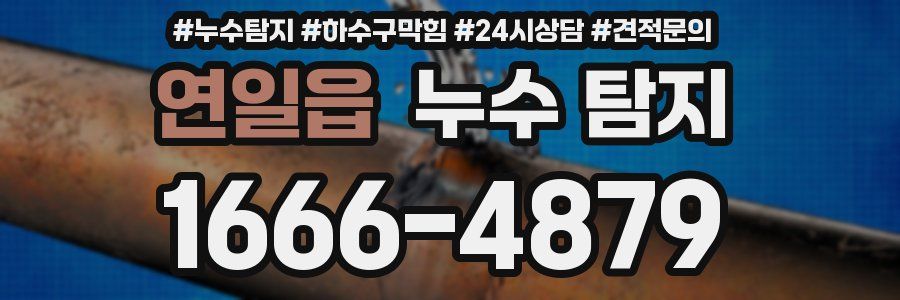 연일읍 누수 탐지