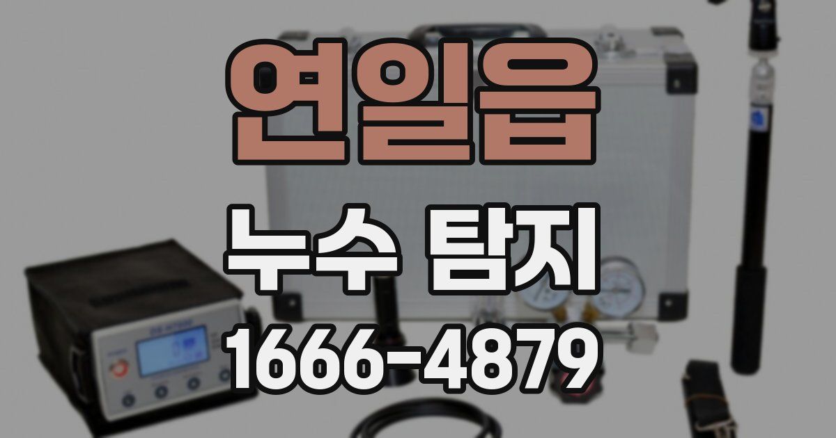 연일읍 누수 탐지