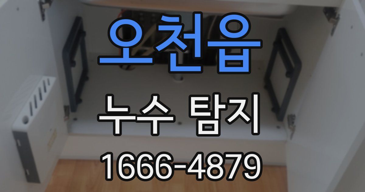 오천읍 누수 탐지
