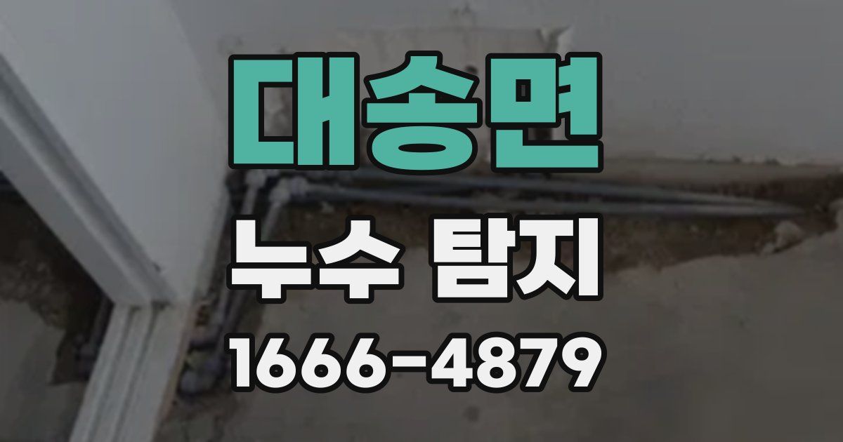 대송면 누수 탐지