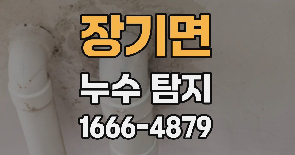 장기면 누수 탐지