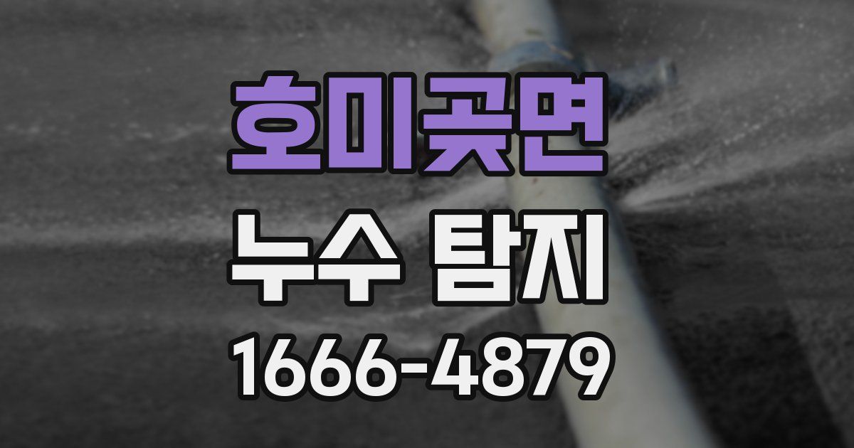 호미곶면 누수 탐지