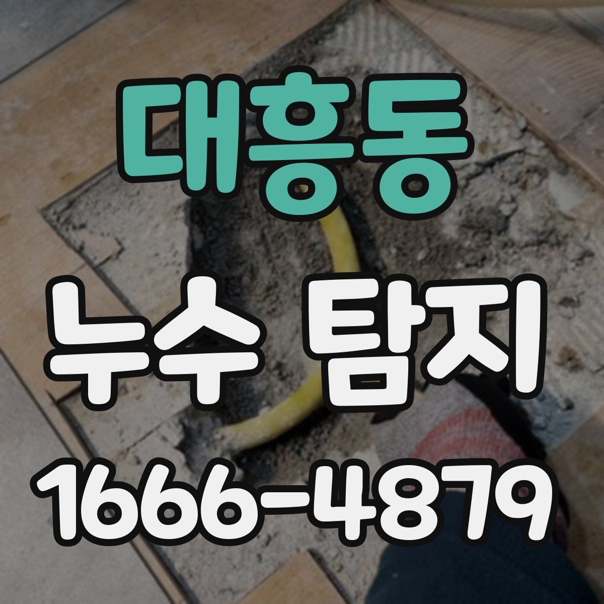 대흥동 누수 탐지