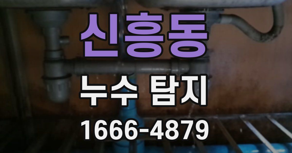 신흥동 누수 탐지