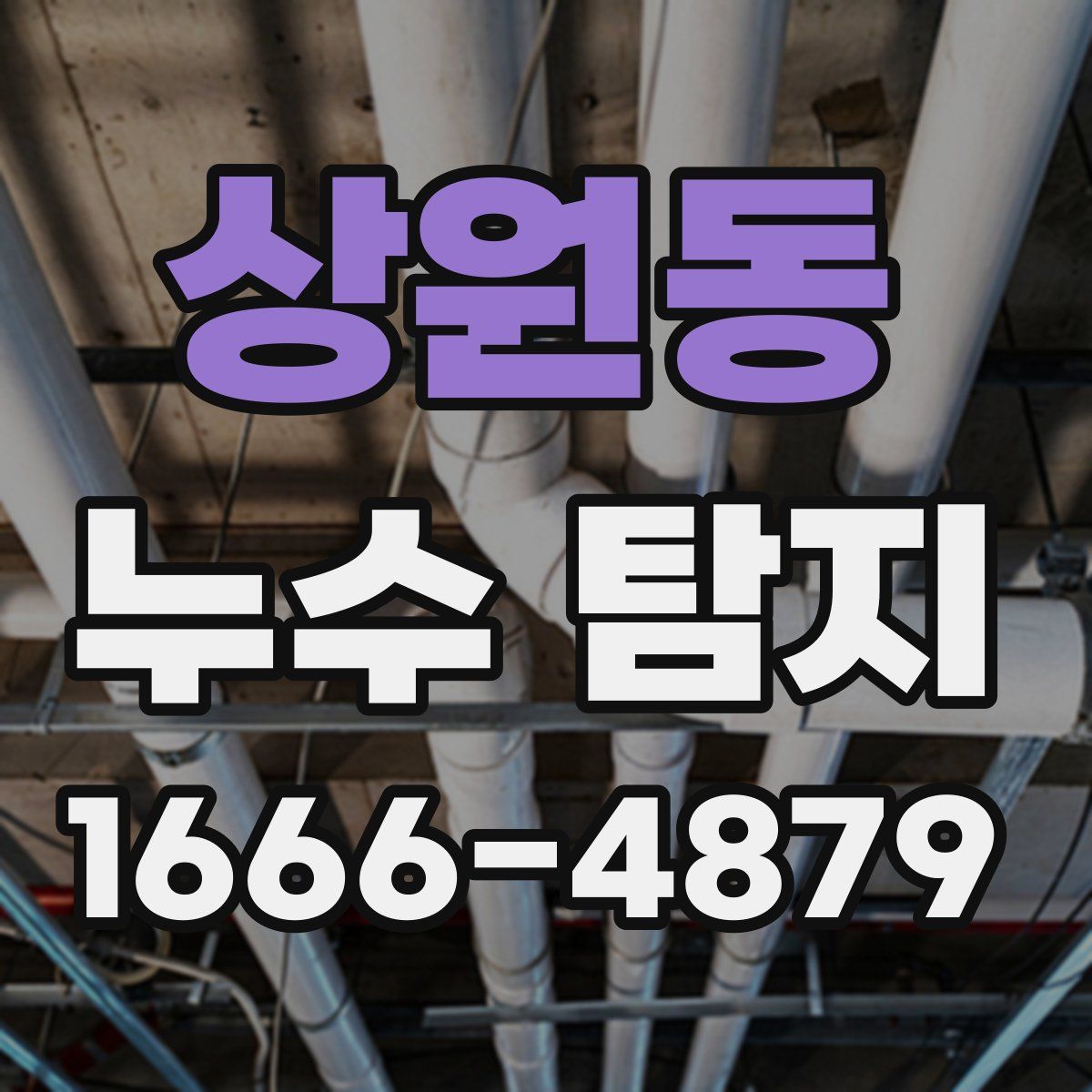 상원동 누수 탐지