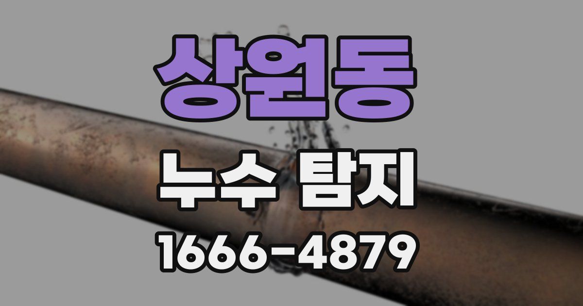상원동 누수 탐지