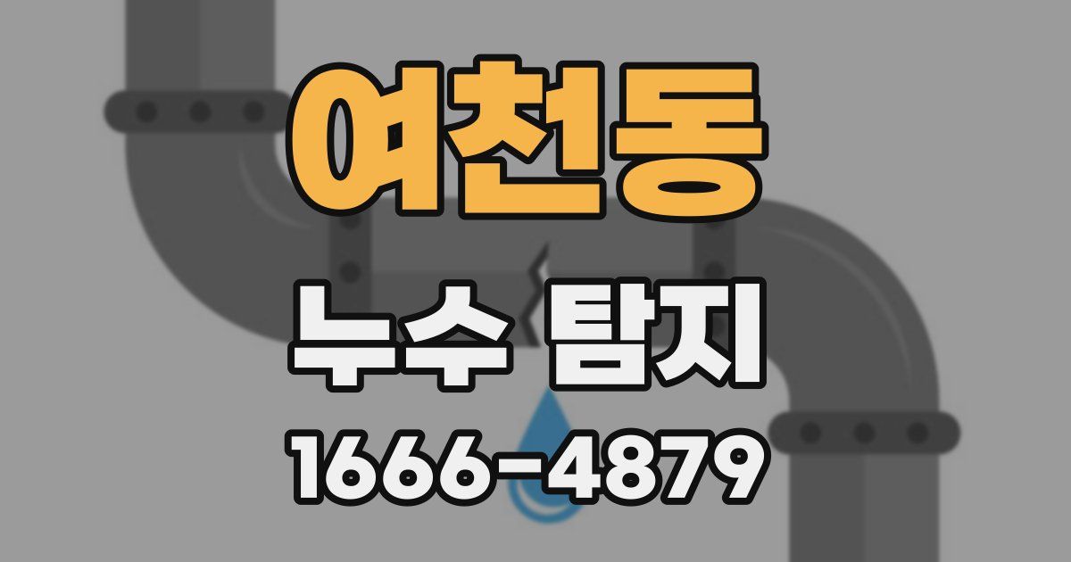 여천동 누수 탐지