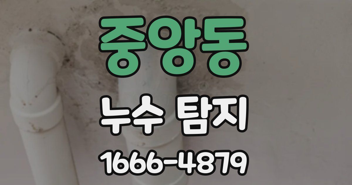 중앙동 누수 탐지