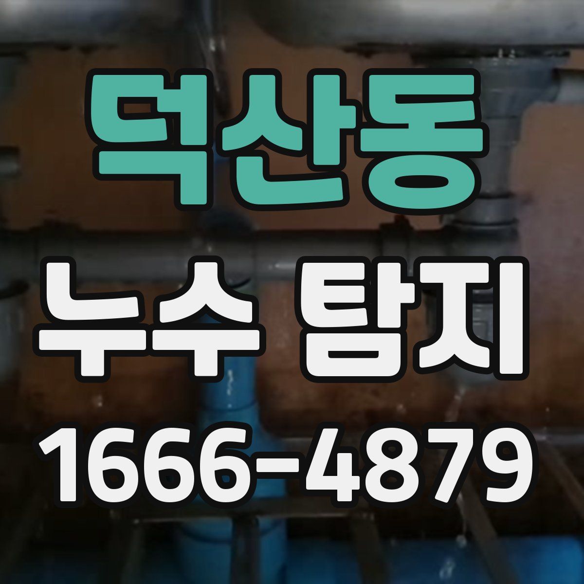 덕산동 누수 탐지