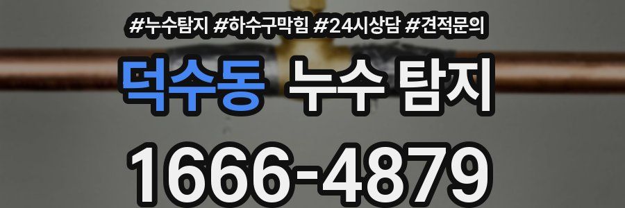 덕수동 누수 탐지