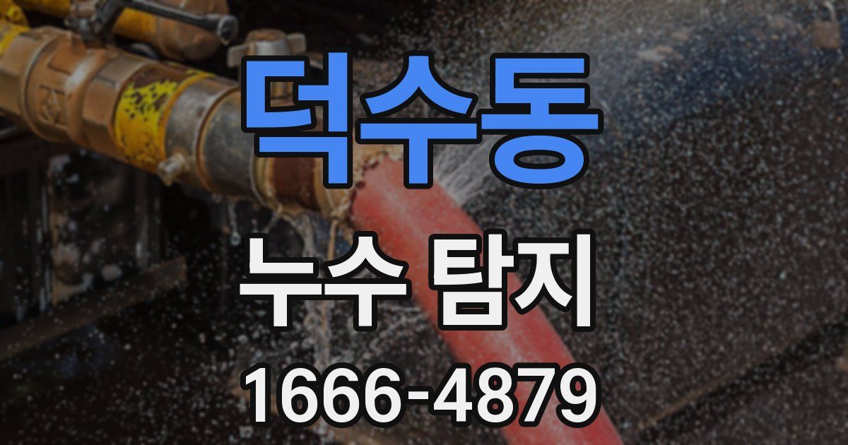 덕수동 누수 탐지