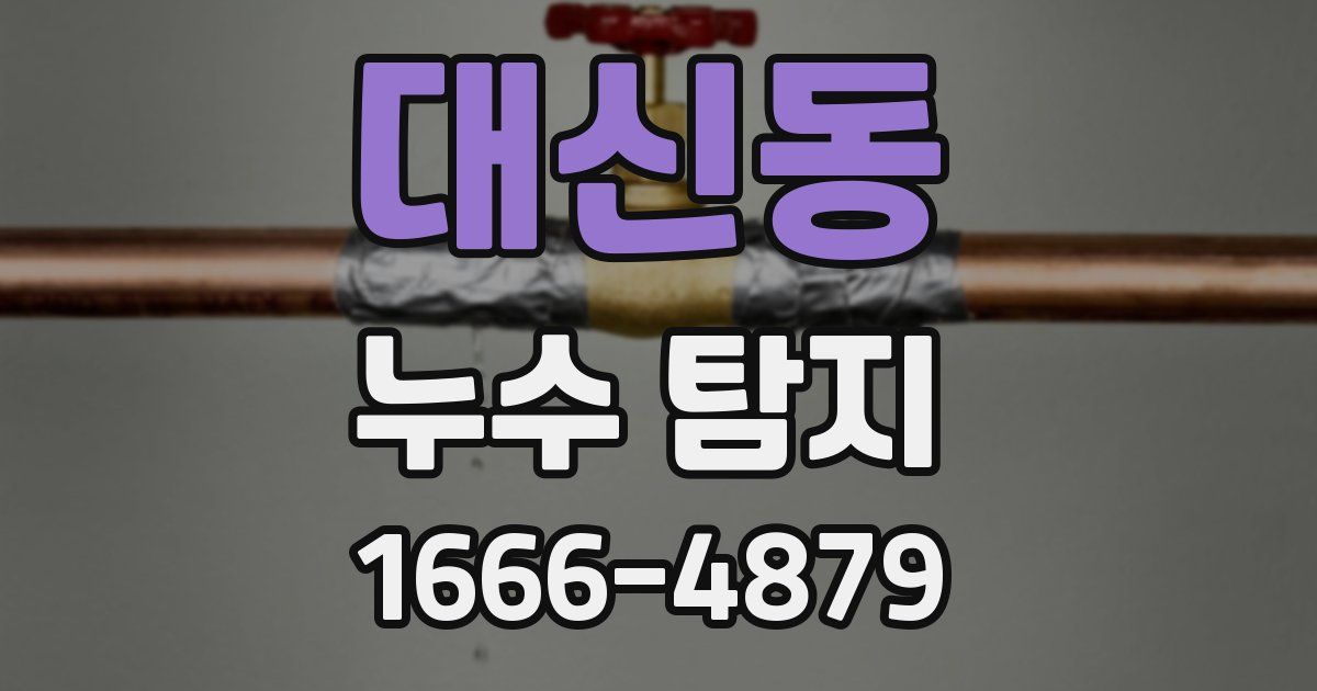 대신동 누수 탐지