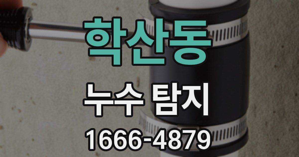 학산동 누수 탐지