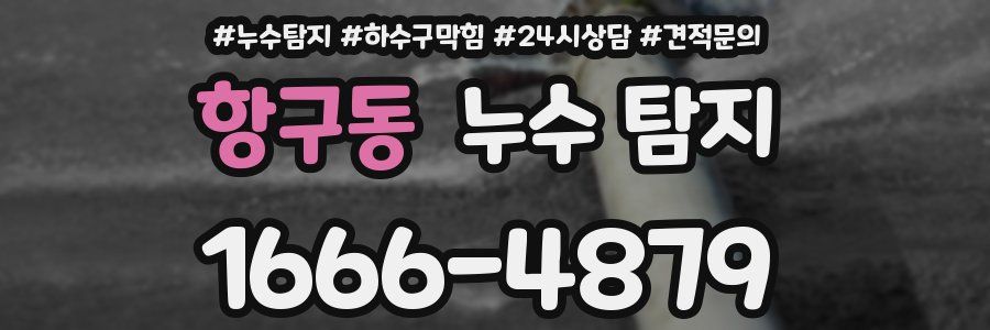 항구동 누수 탐지