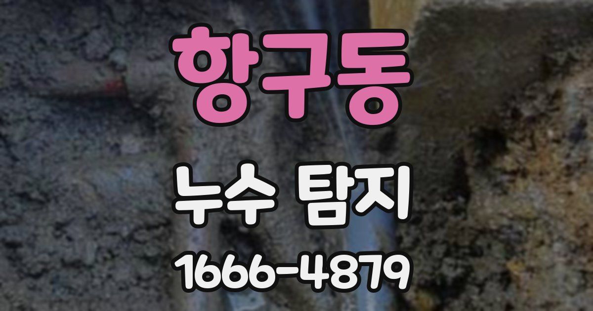 항구동 누수 탐지