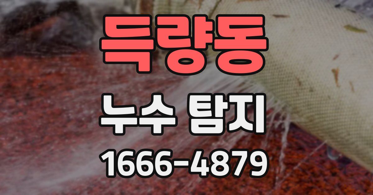 득량동 누수 탐지