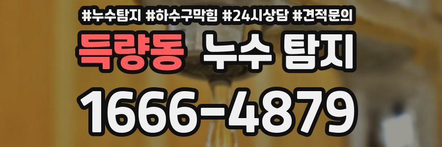 득량동 누수 탐지