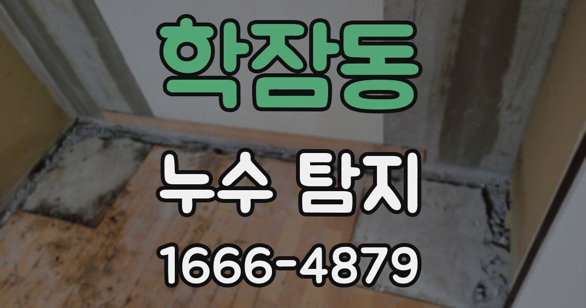 학잠동 누수 탐지