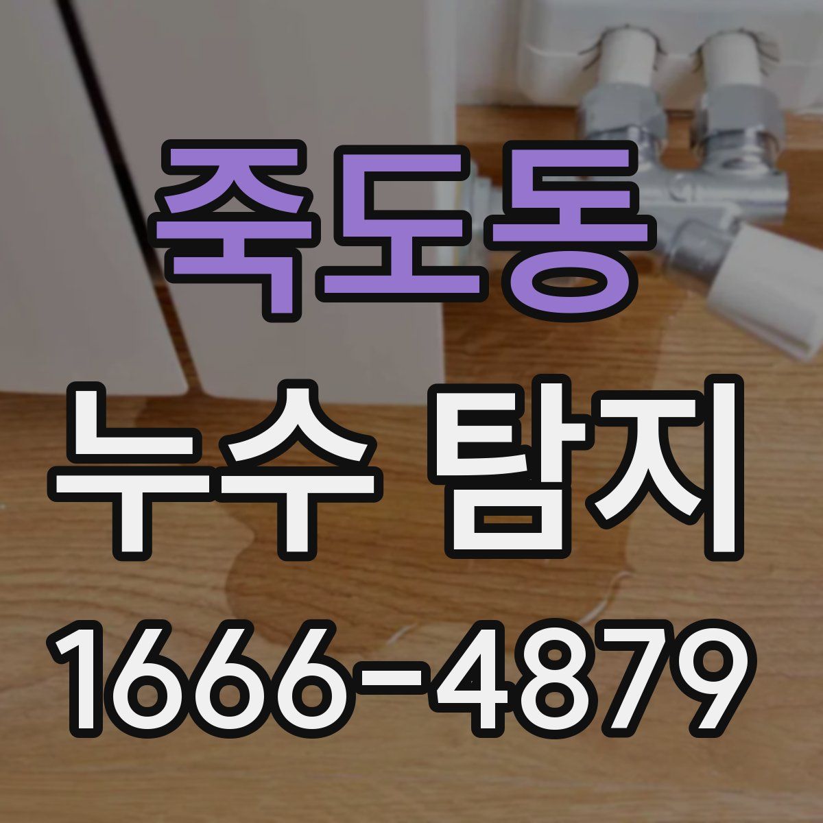 죽도동 누수 탐지