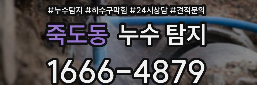 죽도동 누수 탐지