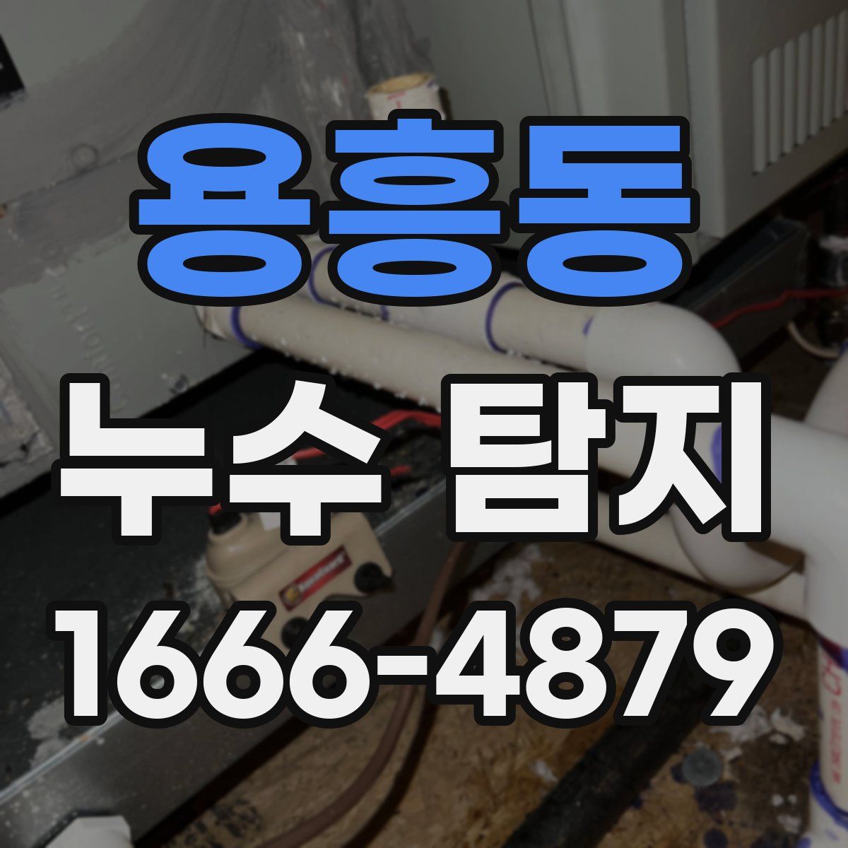 용흥동 누수 탐지