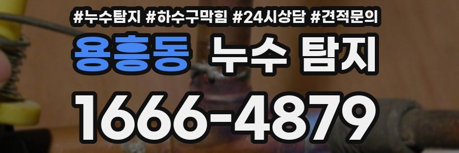 용흥동 누수 탐지
