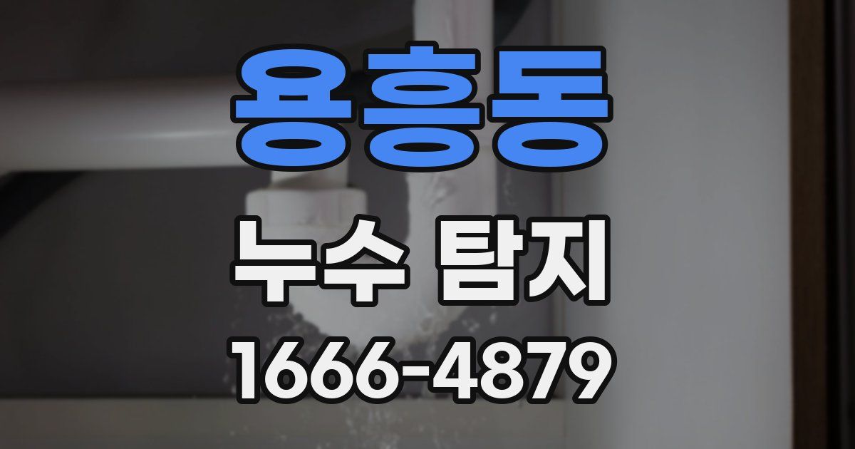 용흥동 누수 탐지