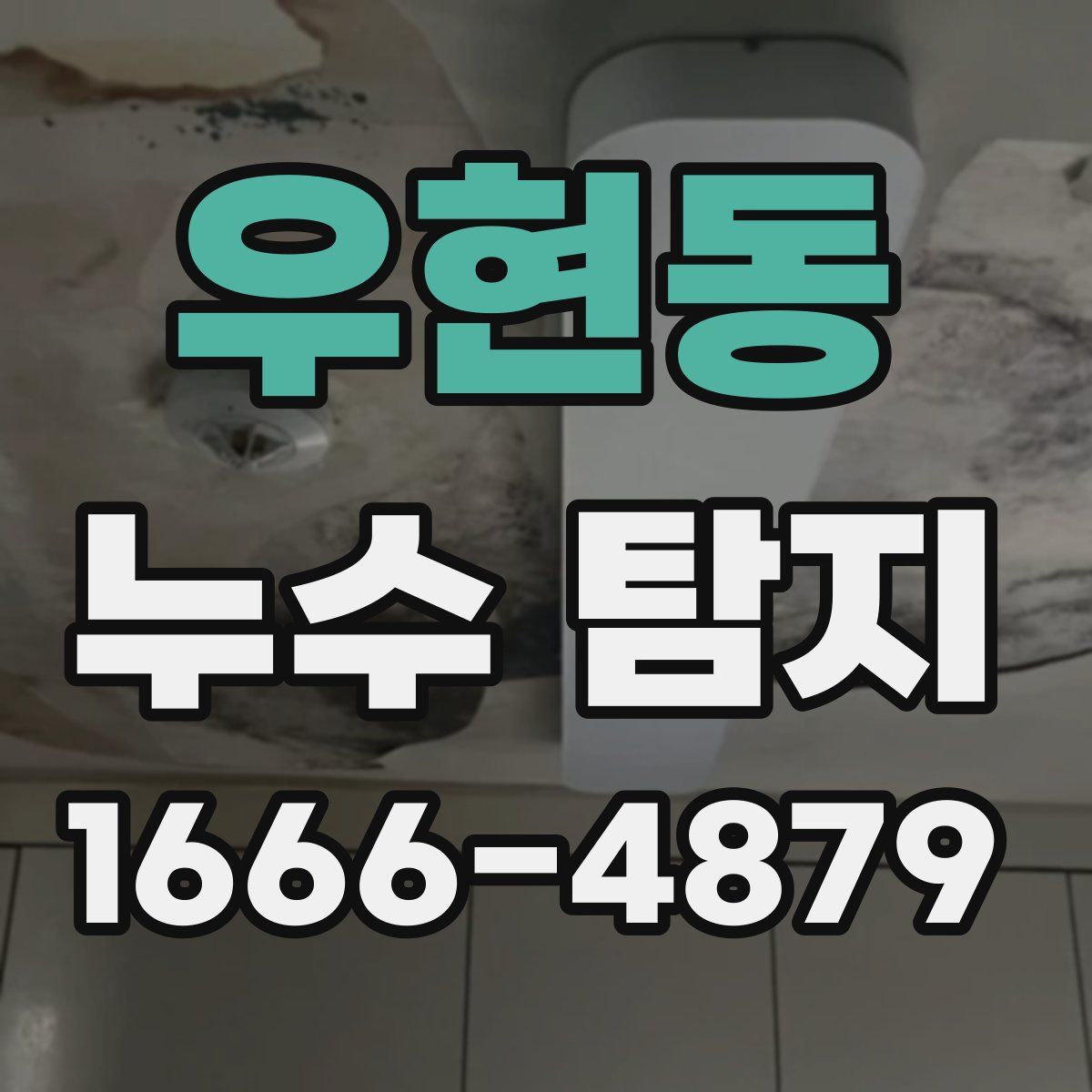 우현동 누수 탐지