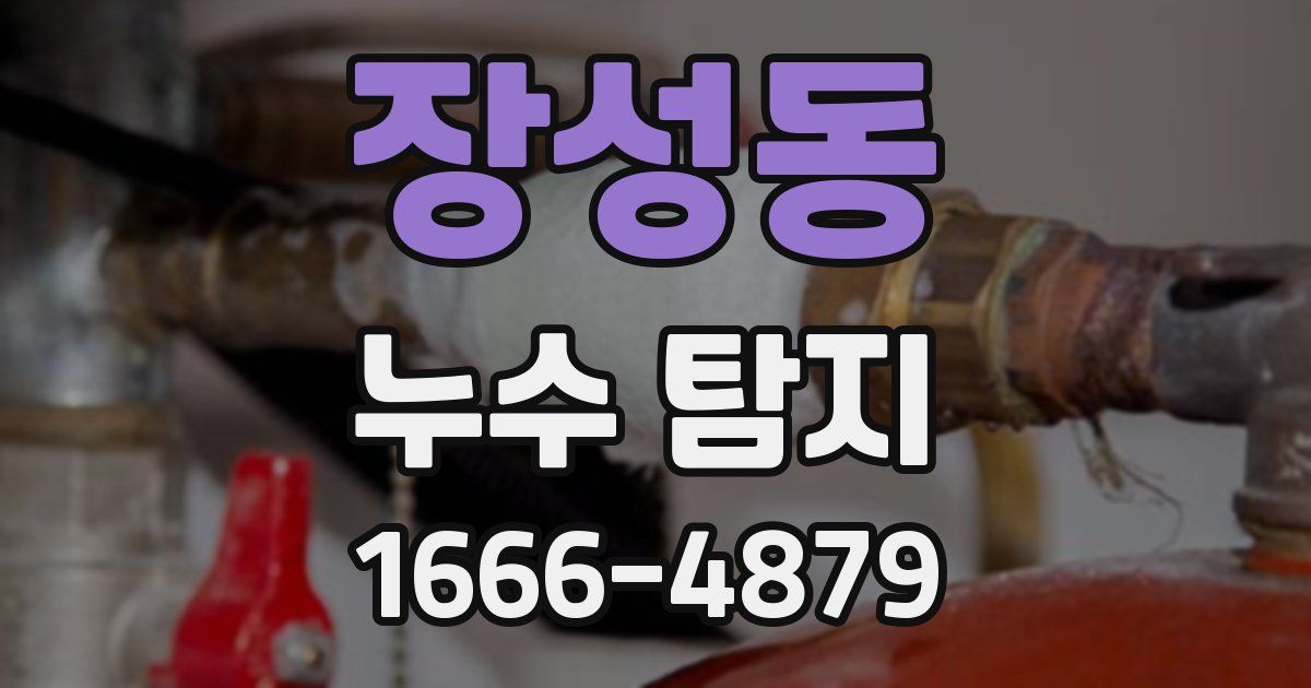 장성동 누수 탐지