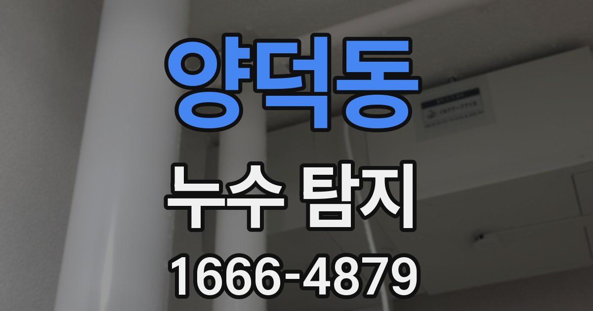 양덕동 누수 탐지