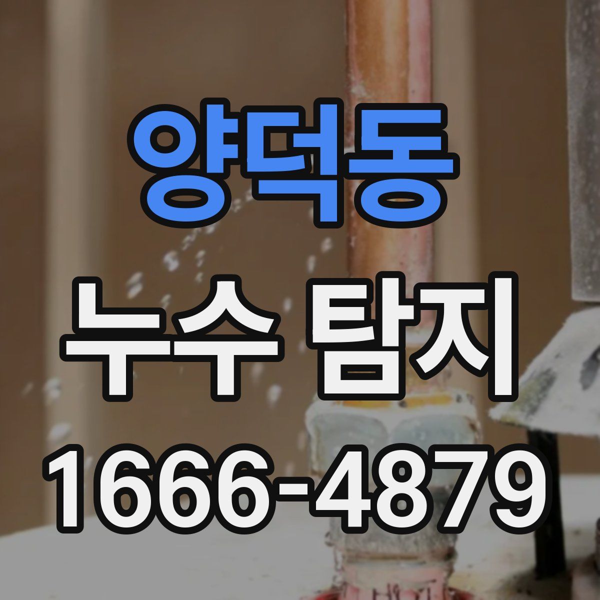 양덕동 누수 탐지
