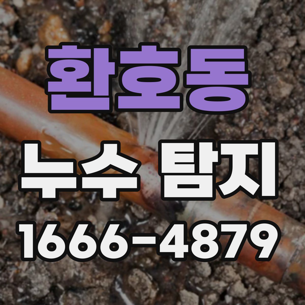 환호동 누수 탐지