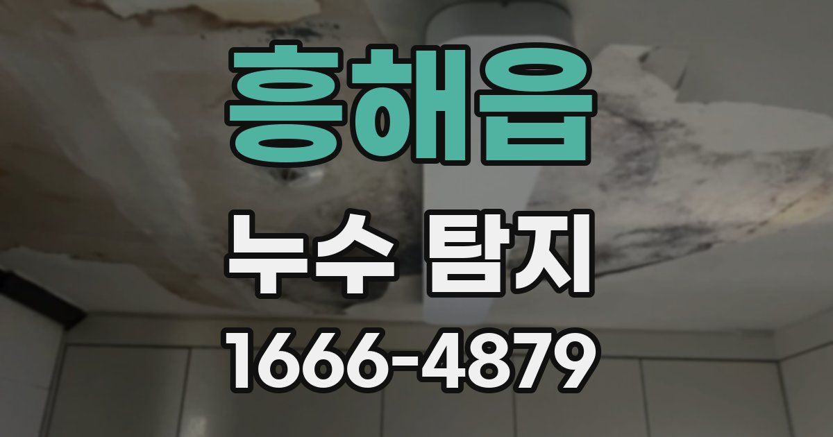 흥해읍 누수 탐지