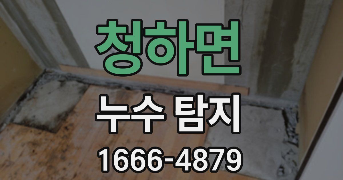 청하면 누수 탐지